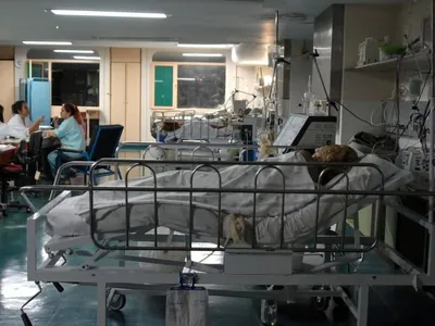 Alerta de golpe: criminosos pedem Pix a familiares de pacientes internados
