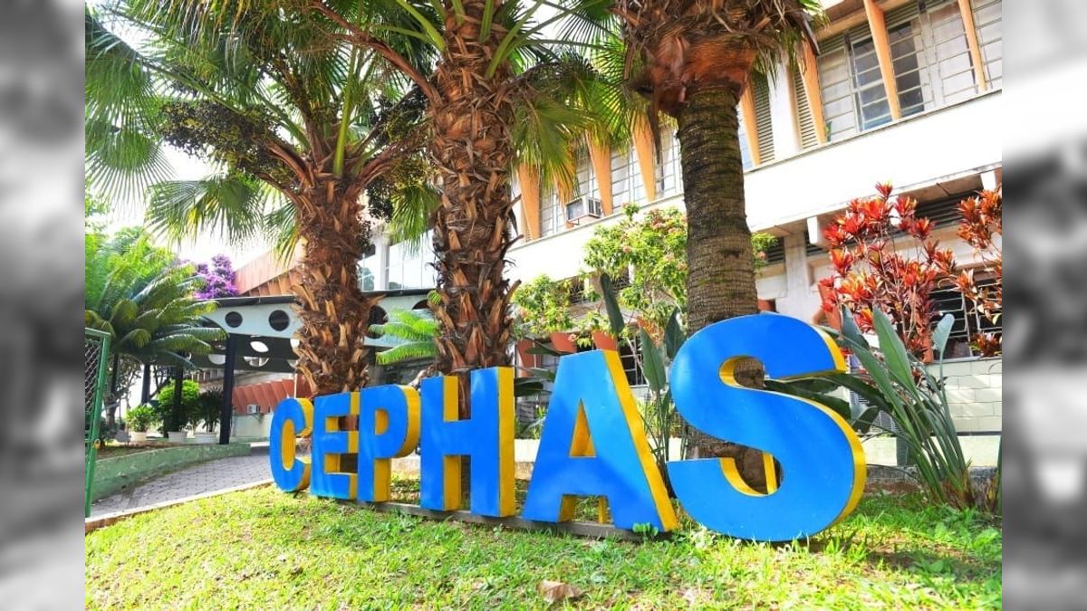 Cephas oferece 2 mil vagas em cursos EAD gratuitos, inscrições até 27/08 - QTU Questões do Universo