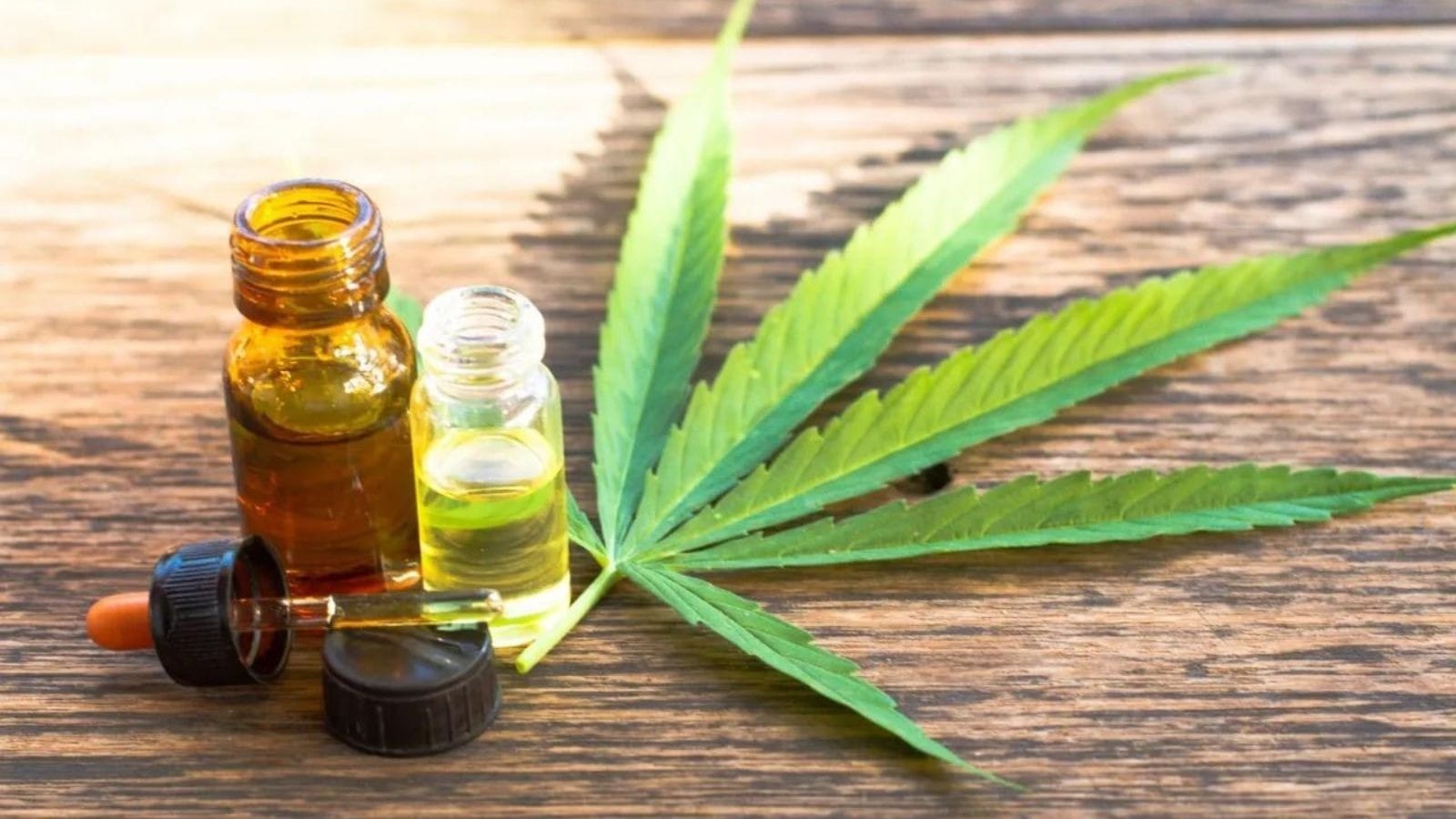 Mercado brasileiro de cannabis deve movimentar R$ 967 milhões em 2025