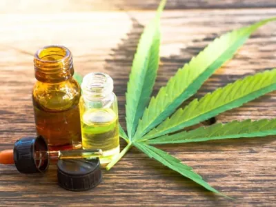 Uso industrial da cannabis pode revolucionar economia, diz especialista
