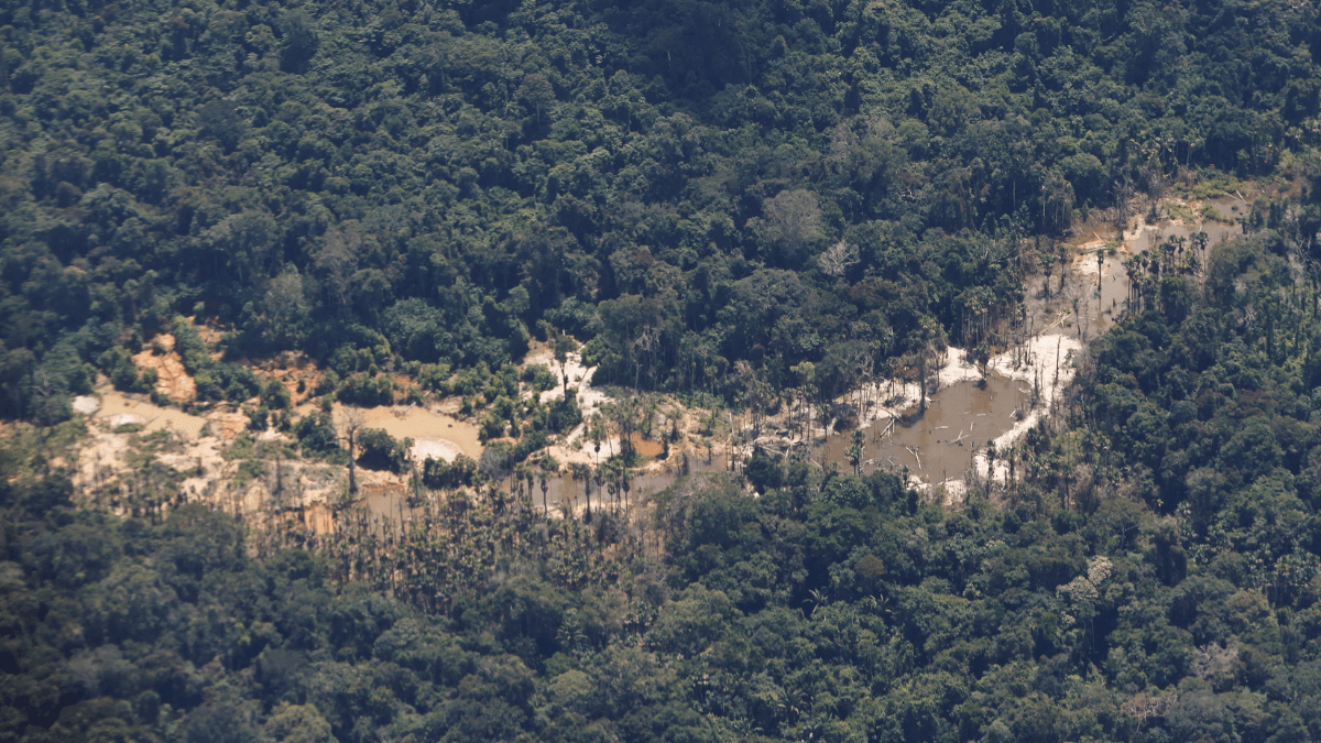Forças Armadas combatem garimpo na Terra Indígena Yanomami