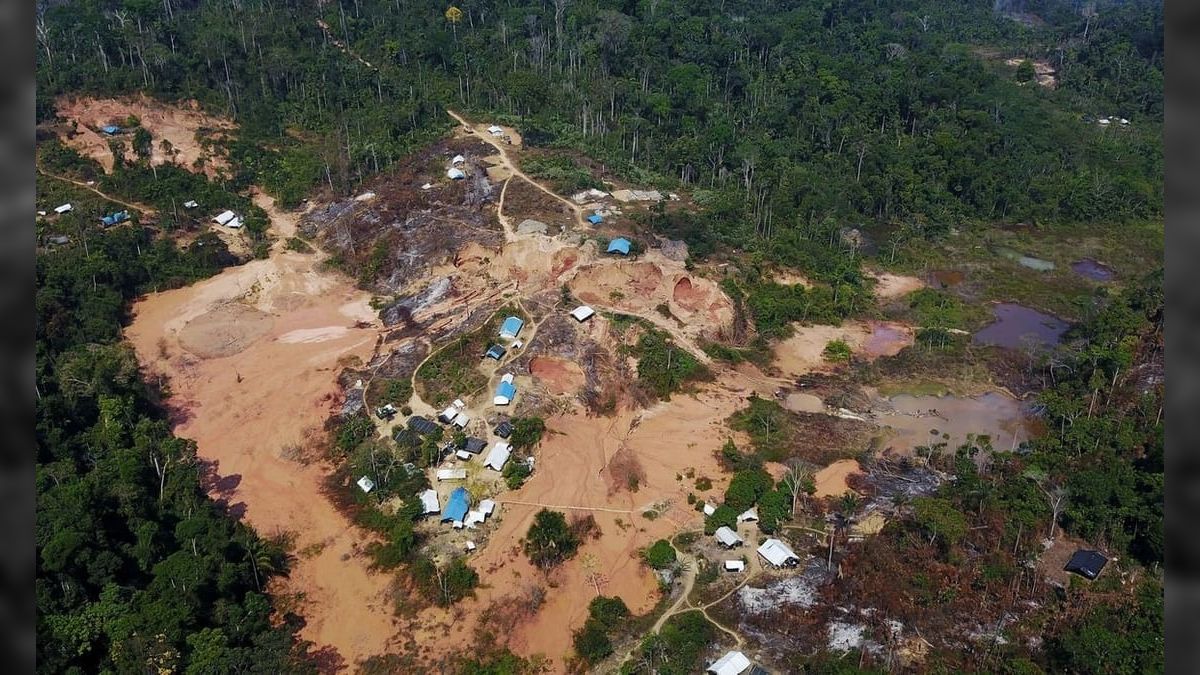 Demanda global por ouro impulsiona garimpo em terras indígenas, diz Greenpeace