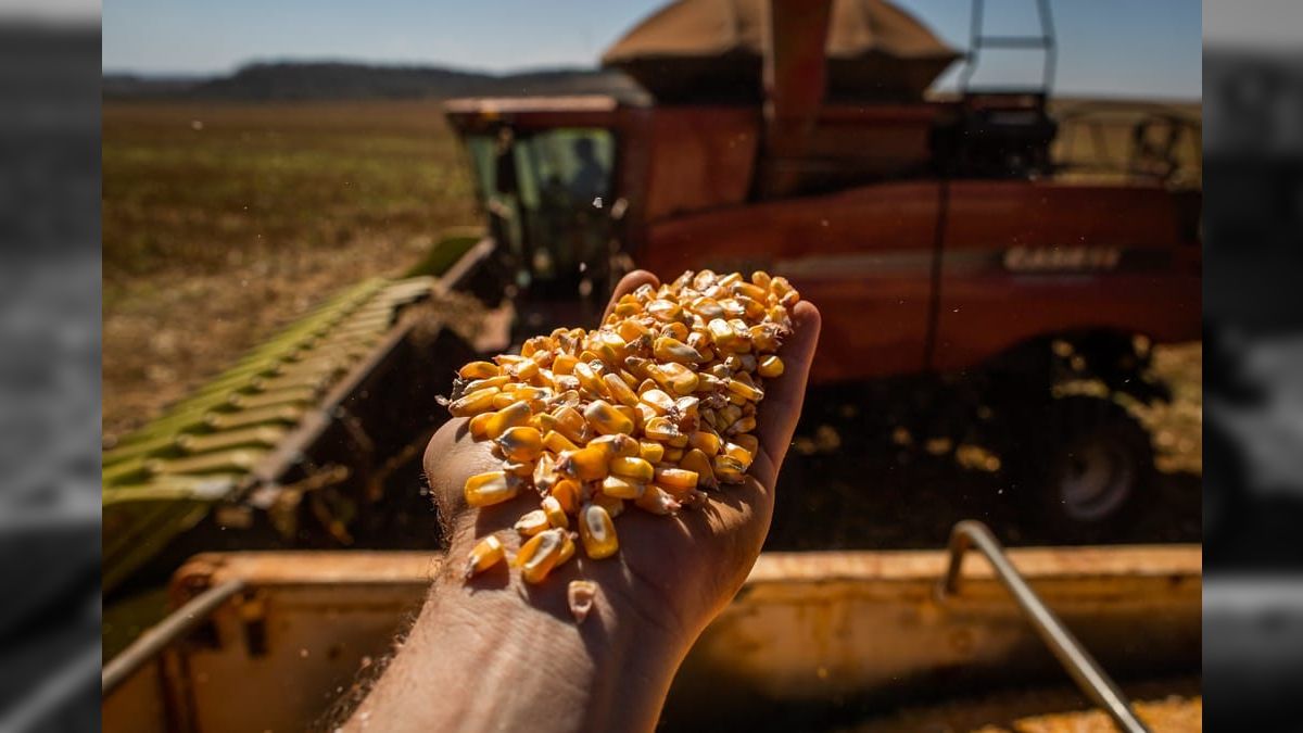 Mato Grosso estima VPB de 2023 em R$ 204 bilhões