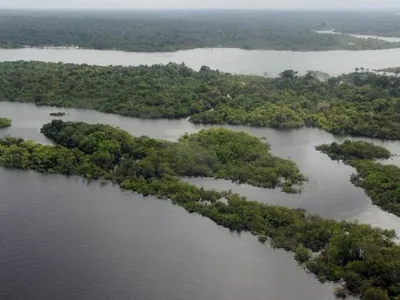 Desmatamento na Amazônia registra queda de 11% e atinge menor nível em 11 anos