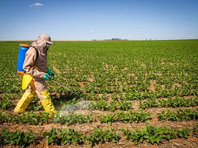 Governo vai banir 'agrotóxicos ultraperigosos' e substituir por bioinsumos