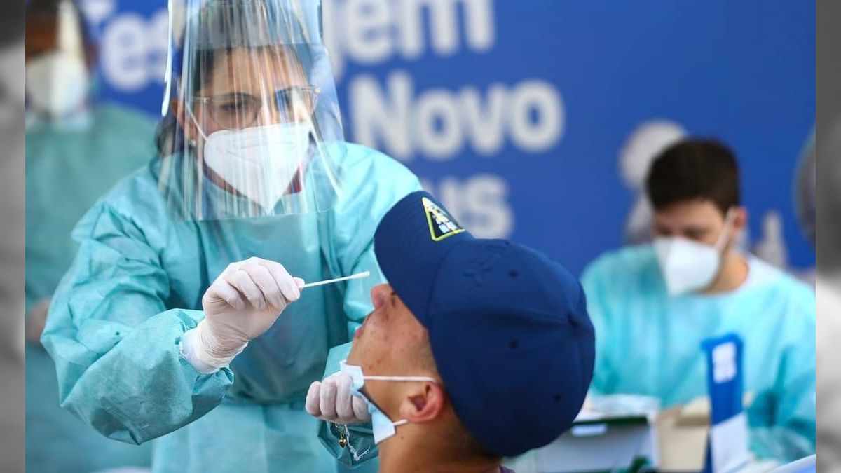 Novo coronavírus é encontrado em morcegos no Brasil com traço similar ao da Covid