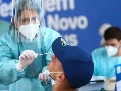 Novo coronavírus é encontrado em morcegos no Brasil com traço similar ao da Covid