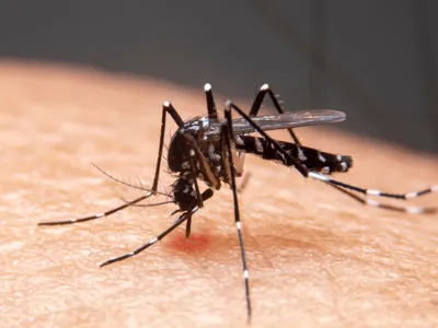 Jaguariúna realiza multirão contra dengue no bairro Jardim Primavera
