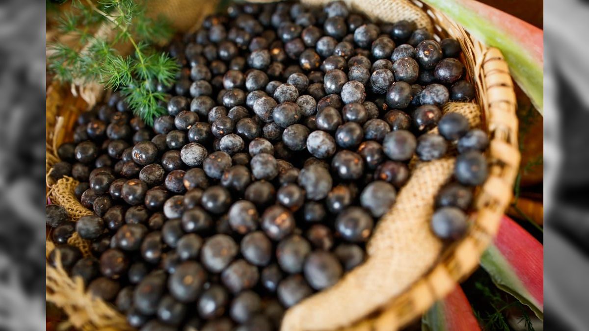 Após polêmica, COP30 vai permitir pratos paraenses como açaí e tucupi