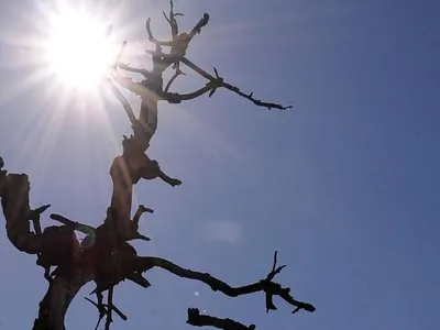 Calor fora de época? Veranico atinge parte do país e muda a cara do inverno