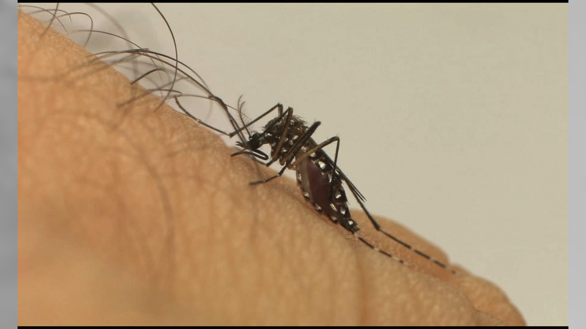 Tremembé registra 1ª morte por dengue em 2026; vítima é um idoso de 87 anos