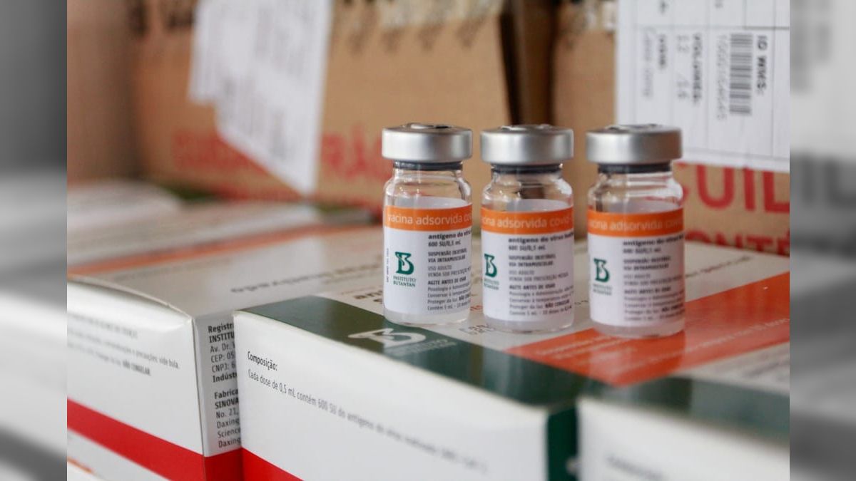 Estados Unidos estuda vacinação de aves contra gripe aviária