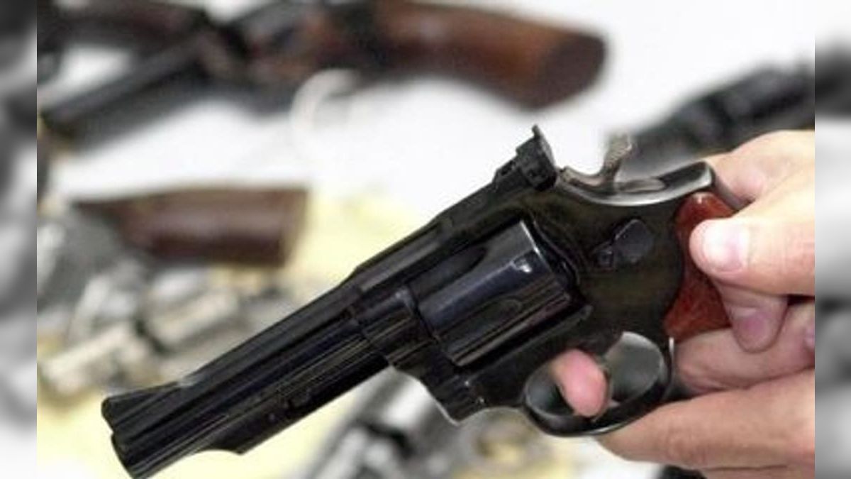 Projeto que facilita compra de arma de fogo é aprovado em comissão; veja o que pode mudar 1