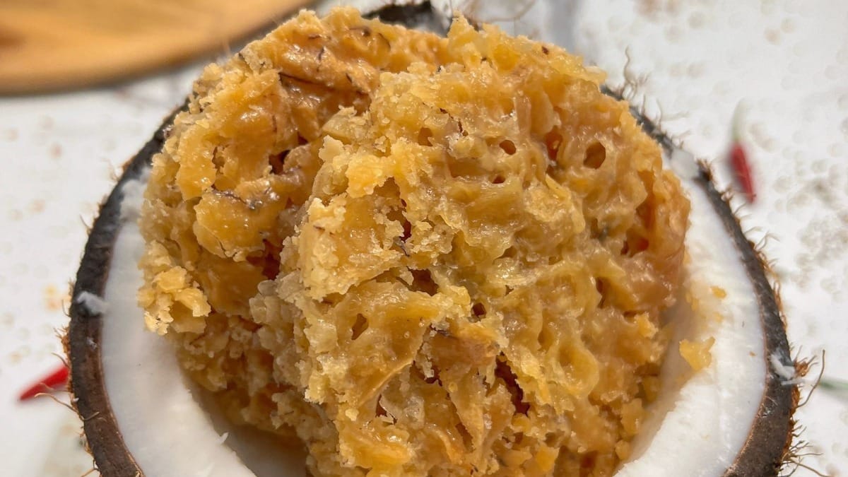 Cocada de forno | Band Receitas