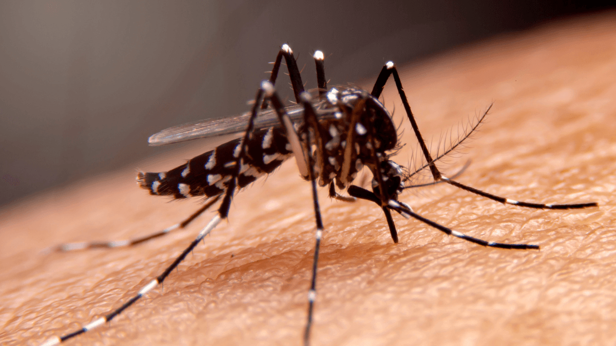 Itápolis confirma 2ª morte por dengue em 2023