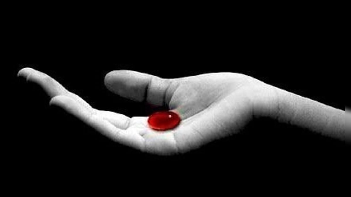 Uma droga chamada redpill: sobre homens que não amam mulheres