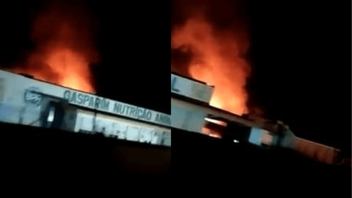 Incêndio atinge fábrica de sementes em Presidente Bernardes