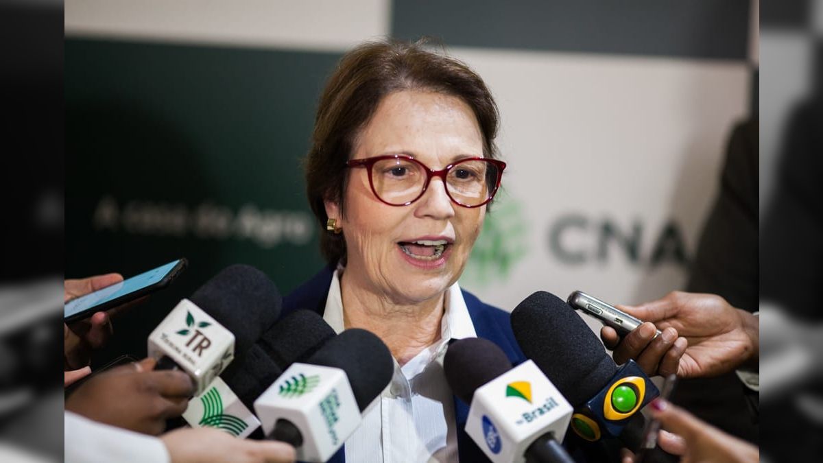 Senadora Tereza Cristina rebate comentário do Ministro Fávaro: "Sem fake news"