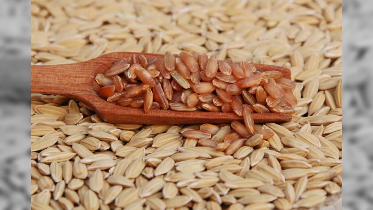 Arroz deve seguir com preços baixos após safra recorde e estoques