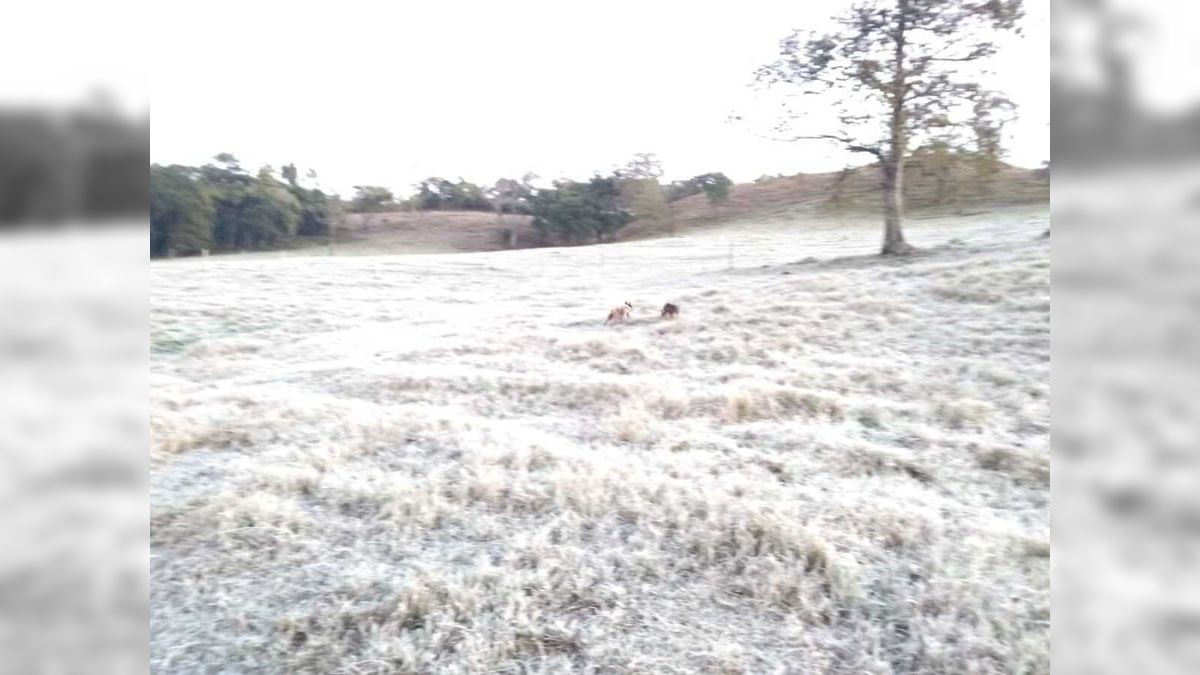 Primeira onda de frio do ano traz risco de ventos fortes, geada e até neve