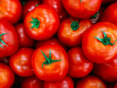 Tomate fica mais caro em março: conheça receitas para substituir alimento