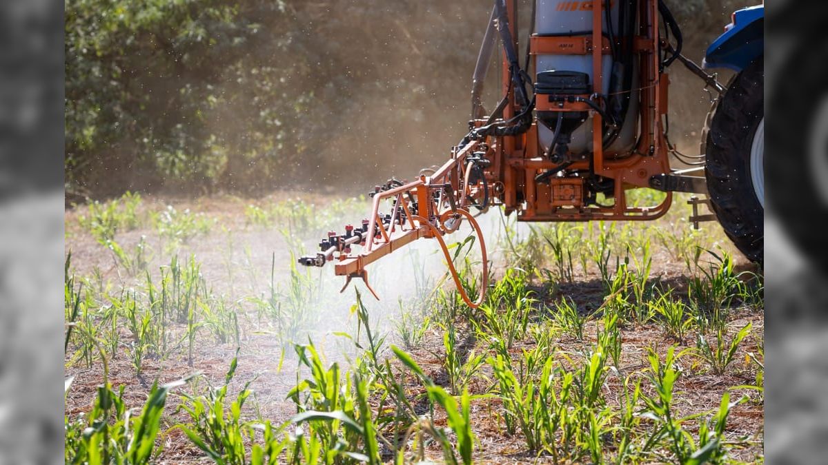 Área tratada por defensivos agrícolas no Brasil cresce 9,2% em 2024