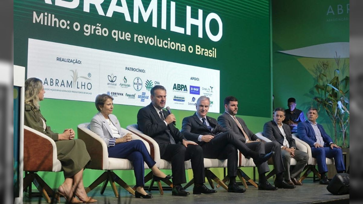 Milho se consolida como grande vocação brasileira, afirma Fávaro