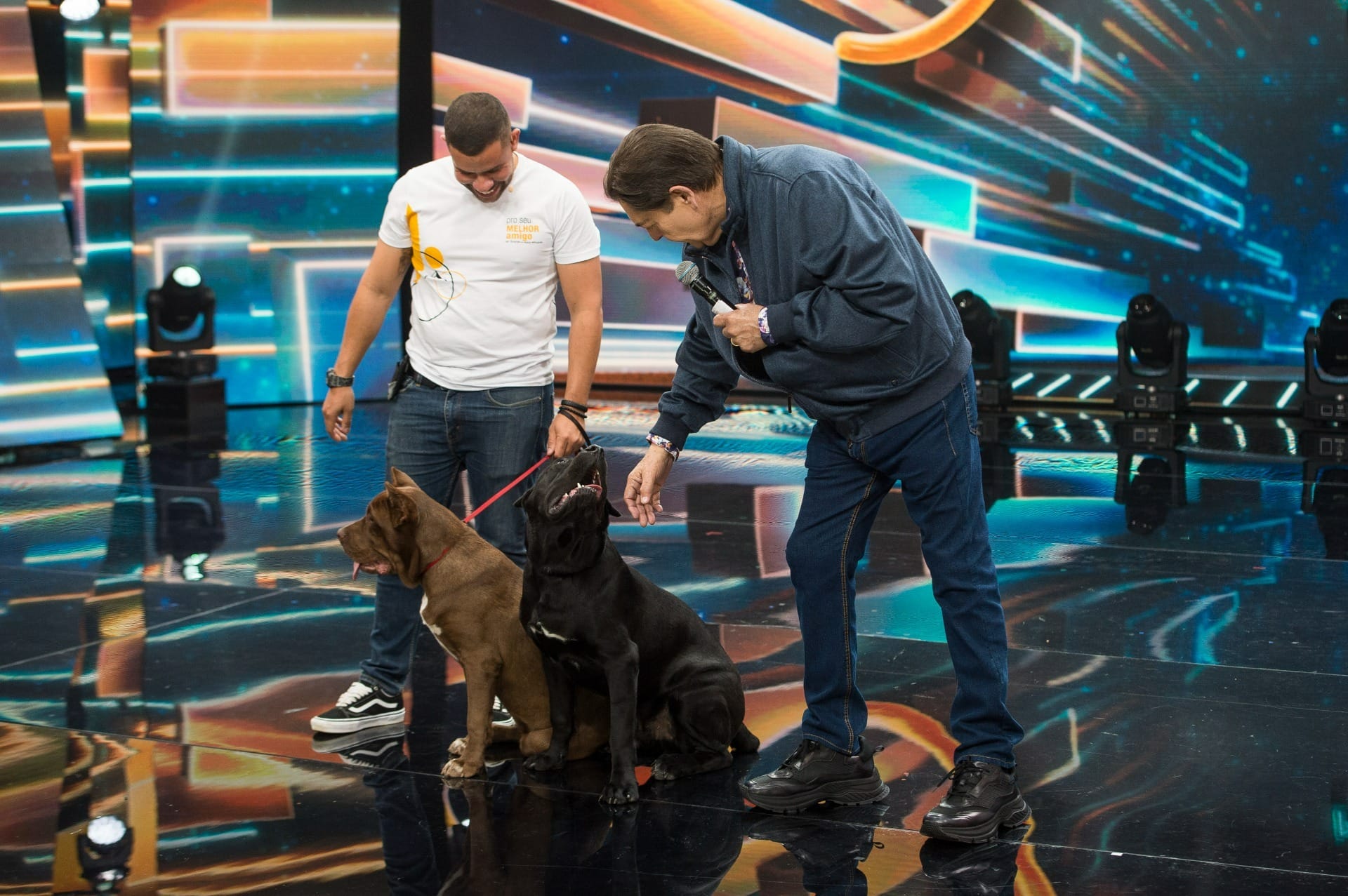 Faustão leva seus cachorros para a Band e expõe medo do filho: "Tem pavor"