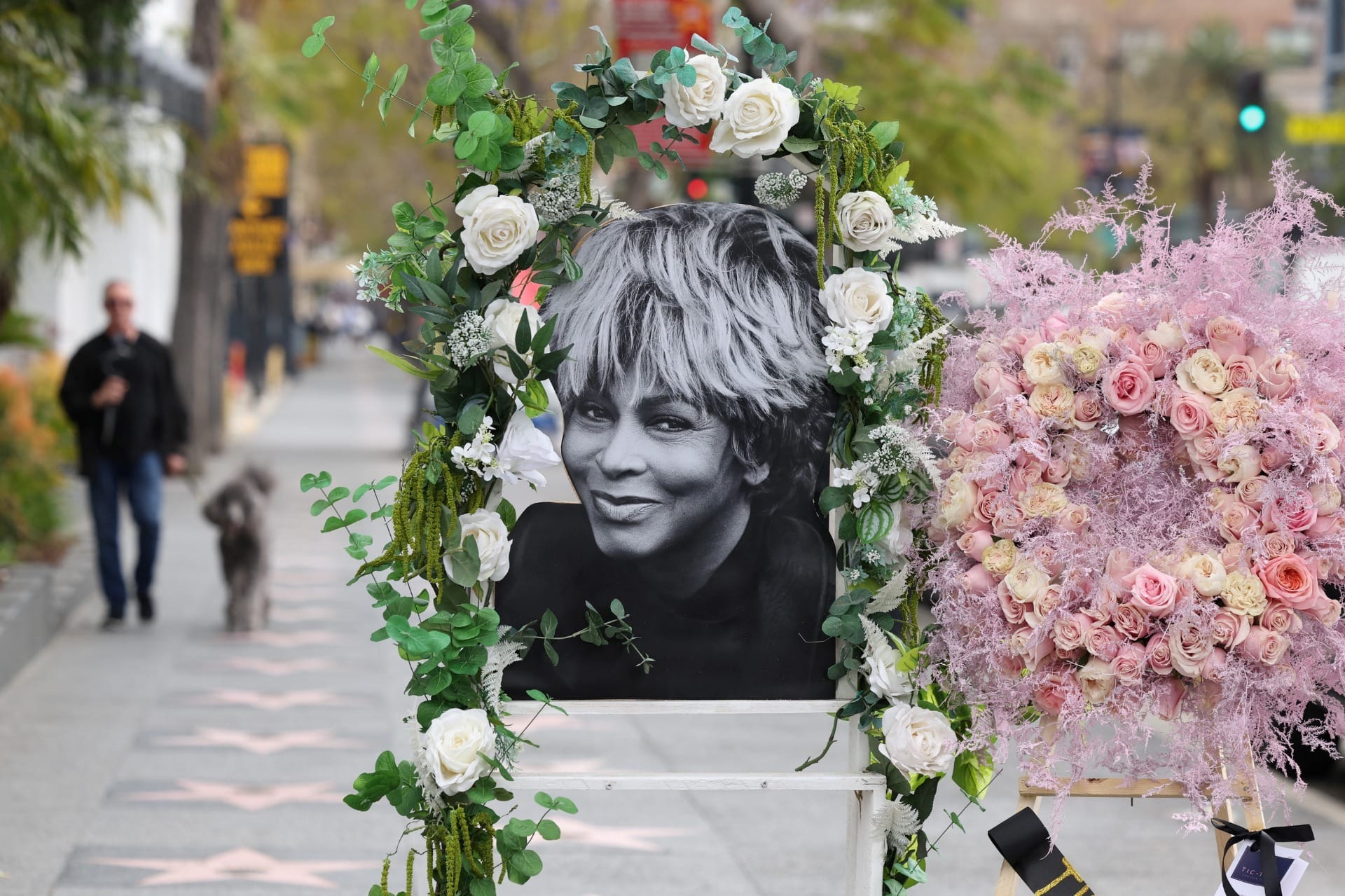 Tina Turner morreu de causas naturais, segundo porta-voz