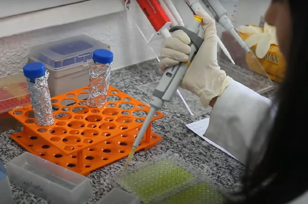 Vacina brasileira contra vício em cocaína e crack tem bons resultados