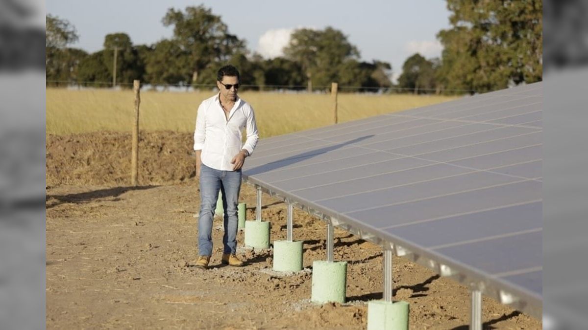 Cantor Zezé di Camargo inaugura usina solar na fazenda de gado É o Amor