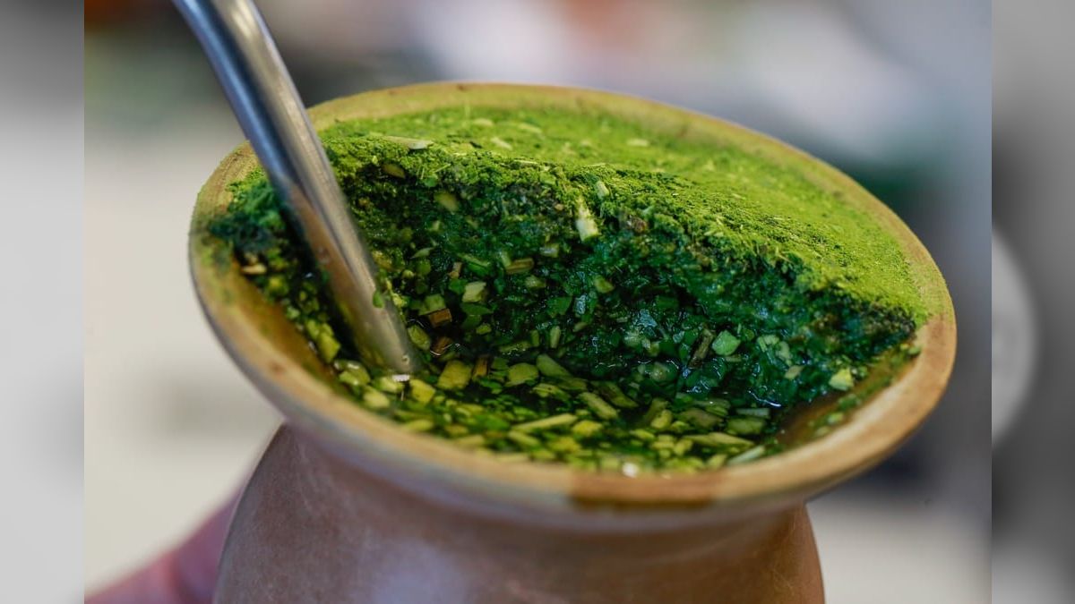 Erva-mate é a primeira planta com título de patrimônio cultural do RS