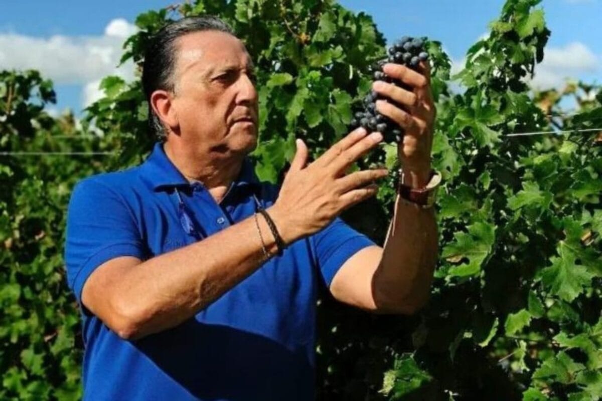 Galvão Bueno volta pra Band; conheça o Galvão do Agro, que produz vinhos, azeite e cria gado