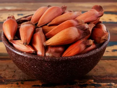Como fazer pinhão na panela de pressão? Chef Rogério Holanda responde!