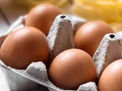 Como descobrir se um ovo está podre sem quebrar a casca? Veja truque inusitado