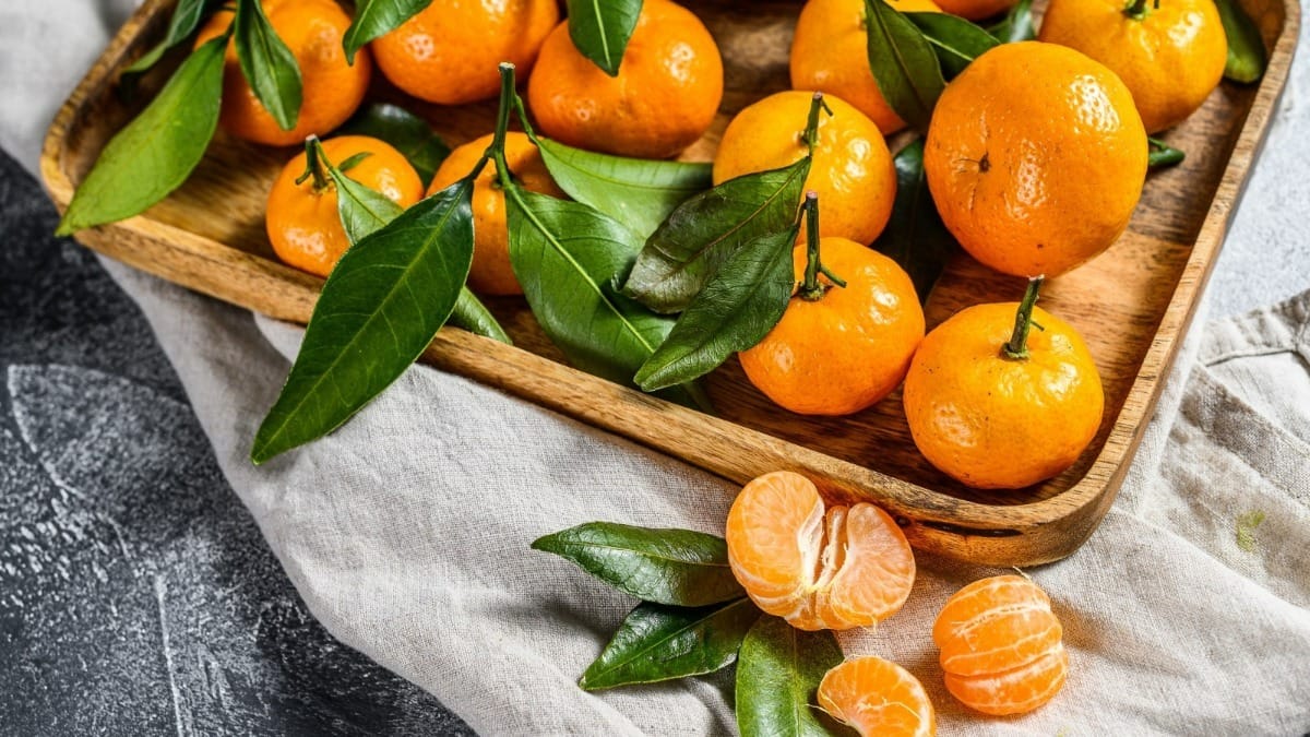 Qual é a diferença entre mexerica, poncã e bergamota? Saiba tudo sobre esta fruta