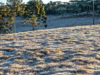 RS e SC registram neve e sensação mínimas negativas neste sábado (9)