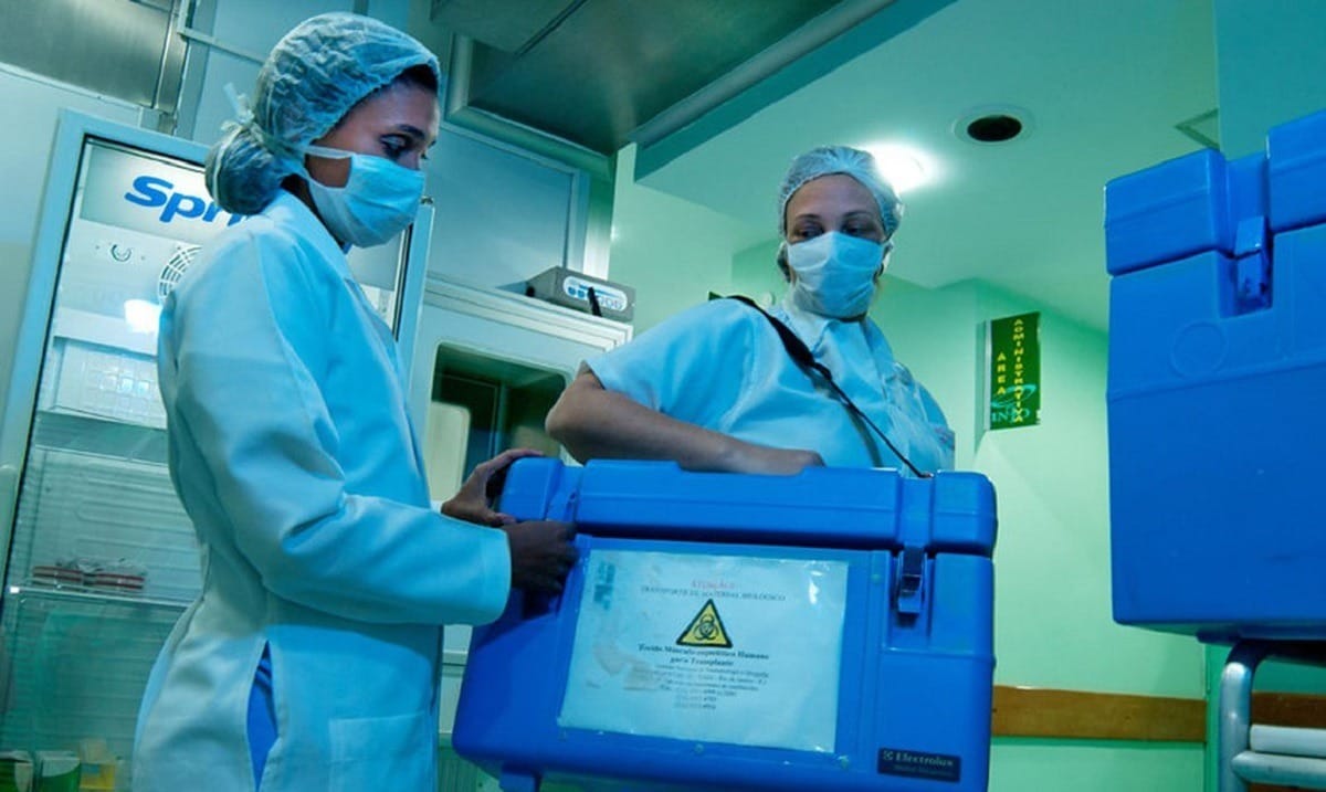 Desinformação dificulta doação de órgãos no Brasil