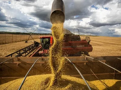 Agricultura confirma anúncio do Plano Safra dia 30 sem a presença de Lula