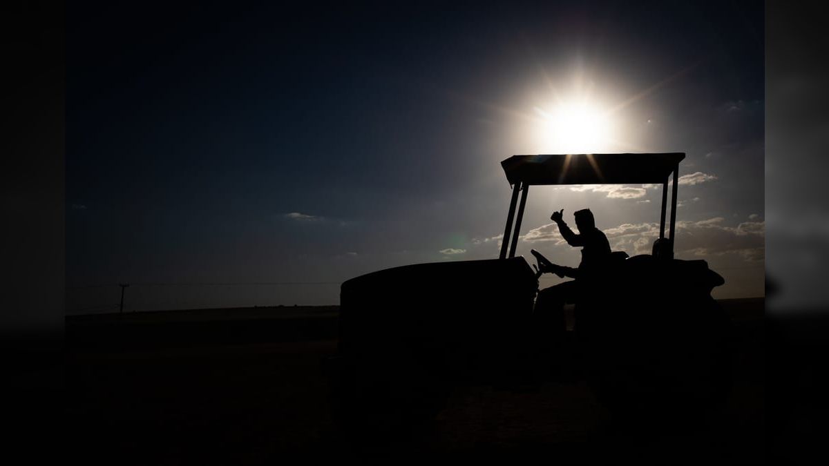 Recuperação judicial no agronegócio sobe 21,9% no 1º trimestre