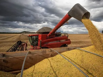 Safra recorde expõe gargalos que tiram competitividade do agro brasileiro