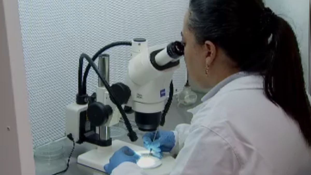 Análise de patentes no Brasil demora anos e mobiliza projetos no Congresso
