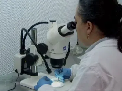 Análise de patentes no Brasil demora anos e mobiliza projetos no Congresso