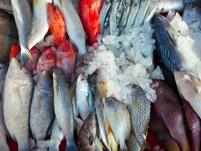 Como escolher peixe fresco? 5 dicas para não errar mais!