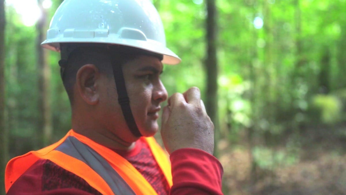 Amazônia tem cheiros que curam, sustentam e mudam a vida de famílias