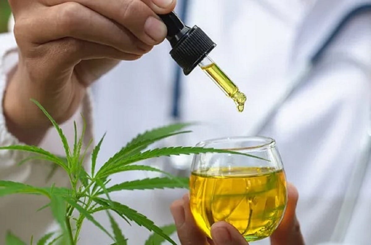 Anvisa libera produtos de cannabis para pets
