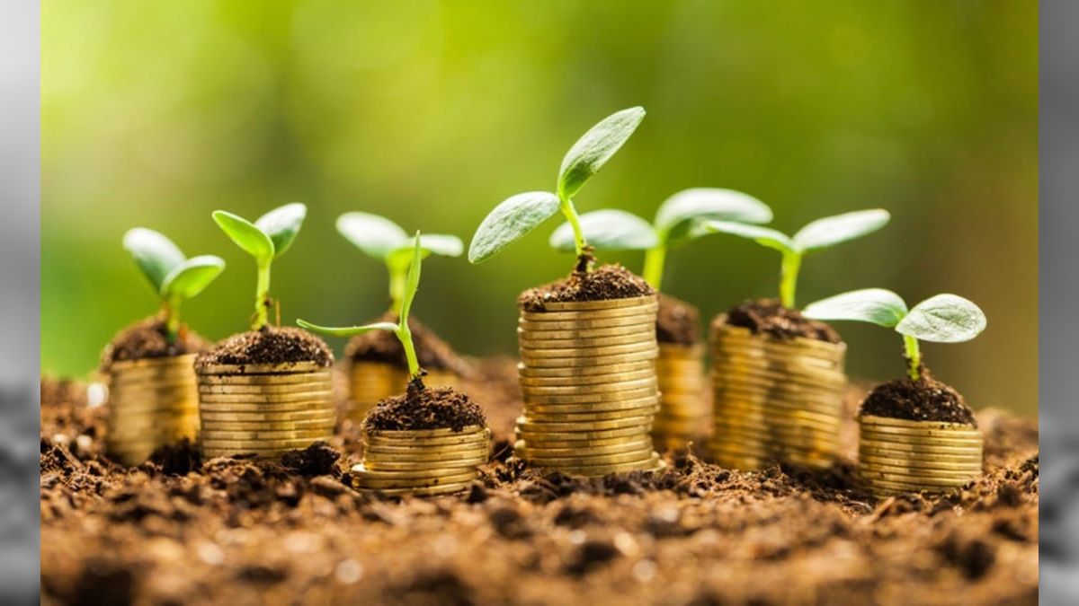 Projeto de modernização do Seguro Rural deve ser votado na próxima semana