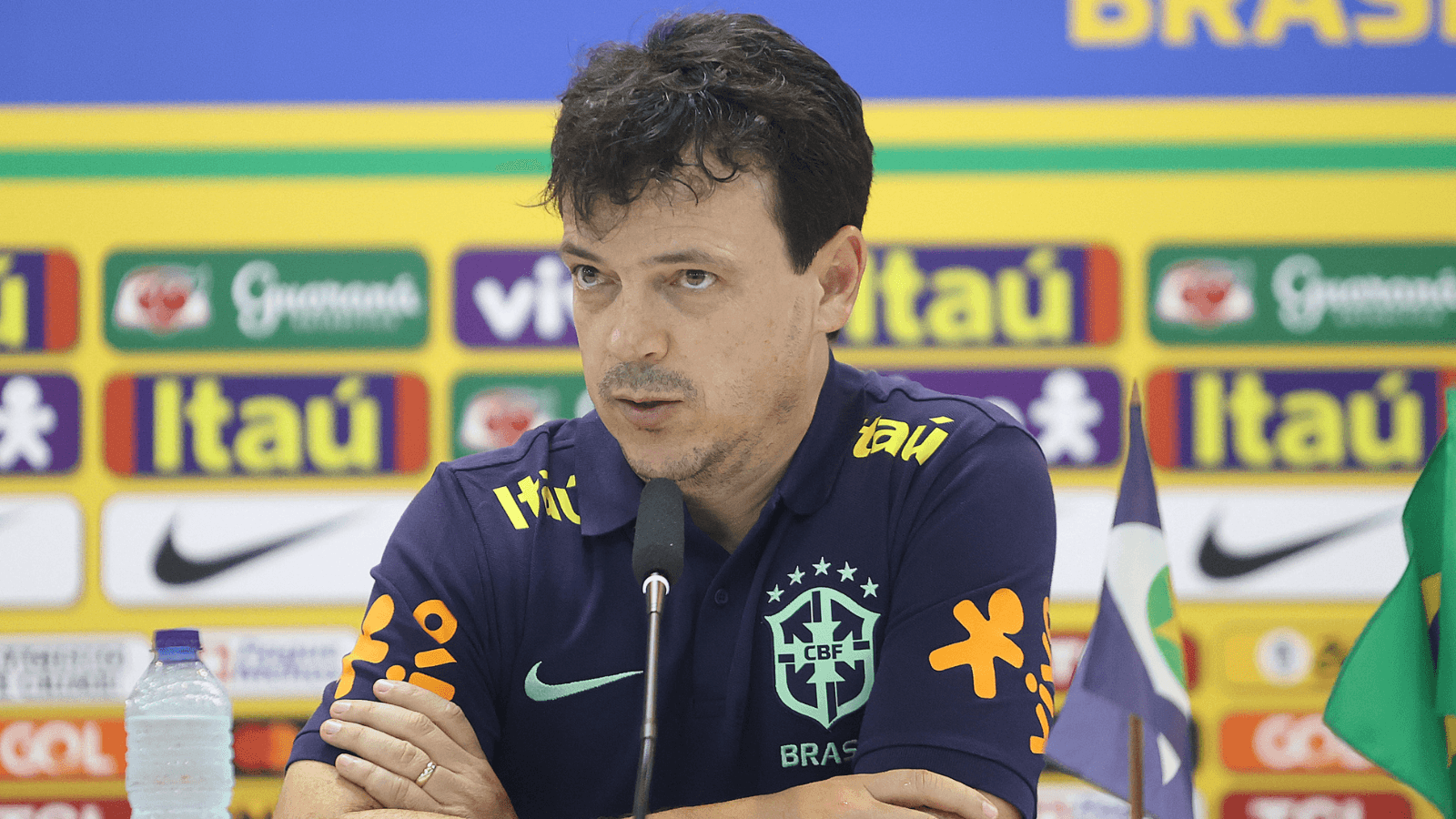 Craque Neto culpa Fernando Diniz por campanha irregular do Brasil nas eliminatórias