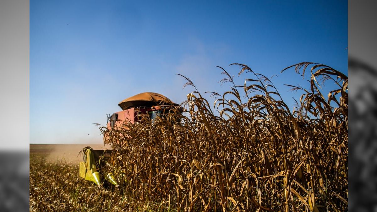 El Niño pode persistir até o próximo ano e provocar calor 'superforte'