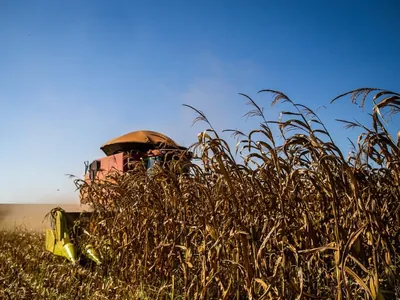 El Niño pode persistir até o próximo ano e provocar calor 'superforte'
